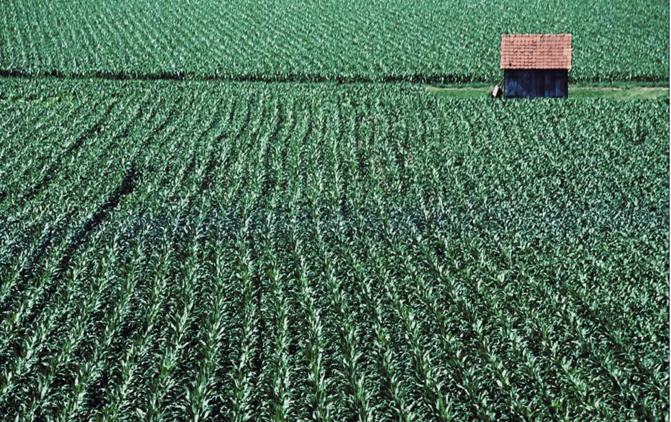 Family Farms are Alive, Well in South Dakota