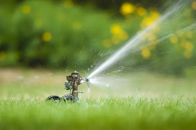 Yes, You Can Still Water Your Lawn (Sort Of)