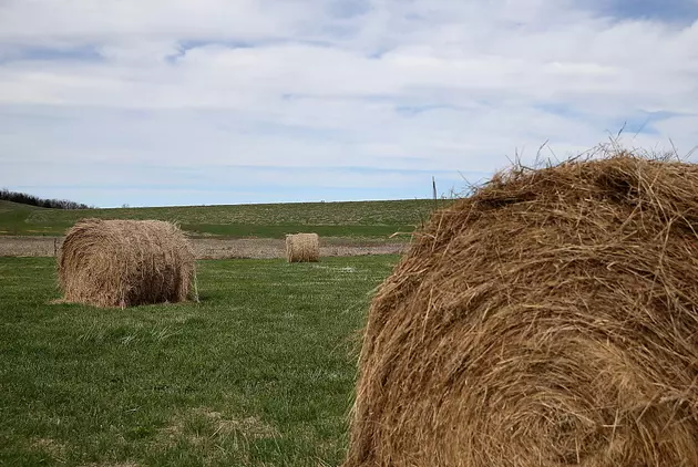 Emergency Haying with South Dakota Drought