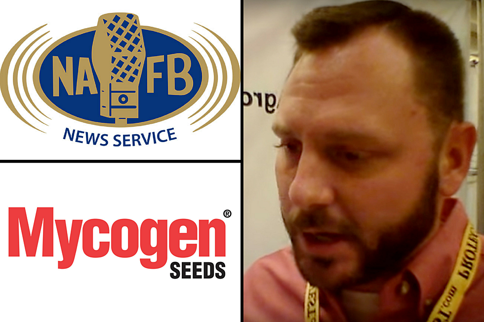 2017 NAFB Convention: Zach Ferguson Talks about Corn