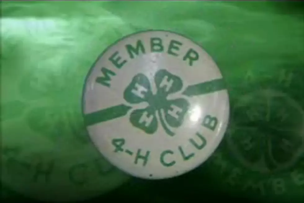 What Do The 4 H&#8217;s Stand For In 4-H Clubs?