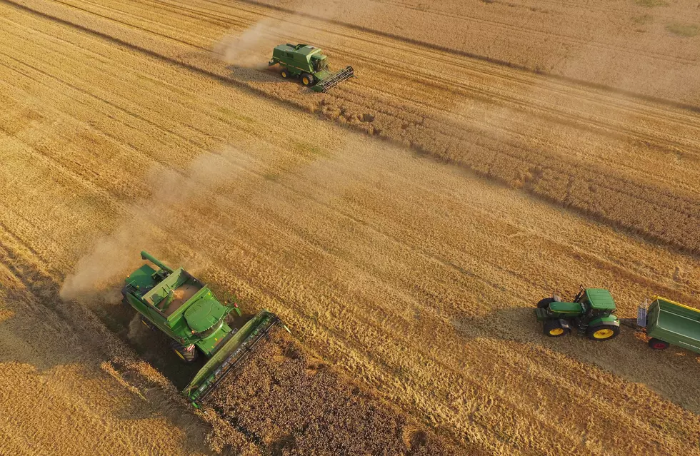 Winter Wheat Seeding Reaches Halfway Point in South Dakota