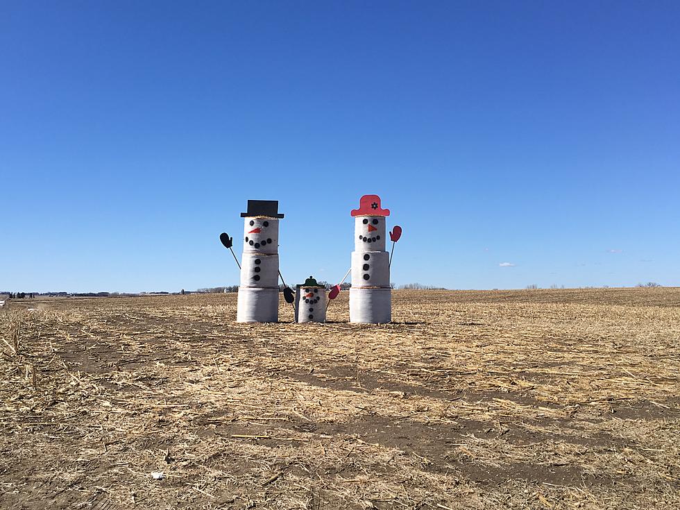 Ever See Bales on the South Dakota Prairie Like This?