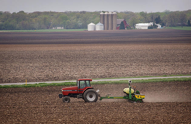 American Farmer Is the Casualty of Trade War