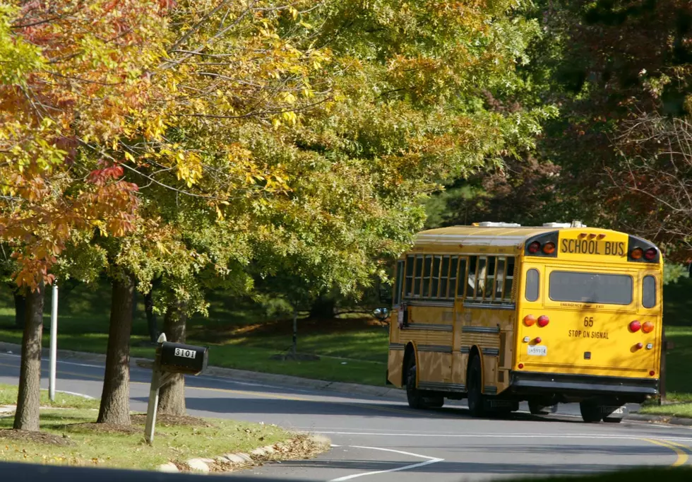 Please Stop Texting While Driving School Bus
