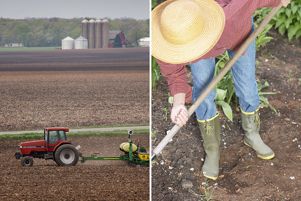 Not That Different: Planting Time On The Farm And In Town