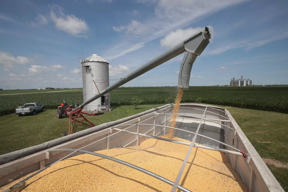 Soybean Farmers Caught in Middle of Tariff War