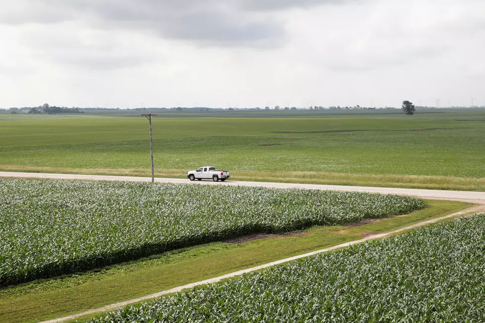 South Dakota Crops in Good Condition