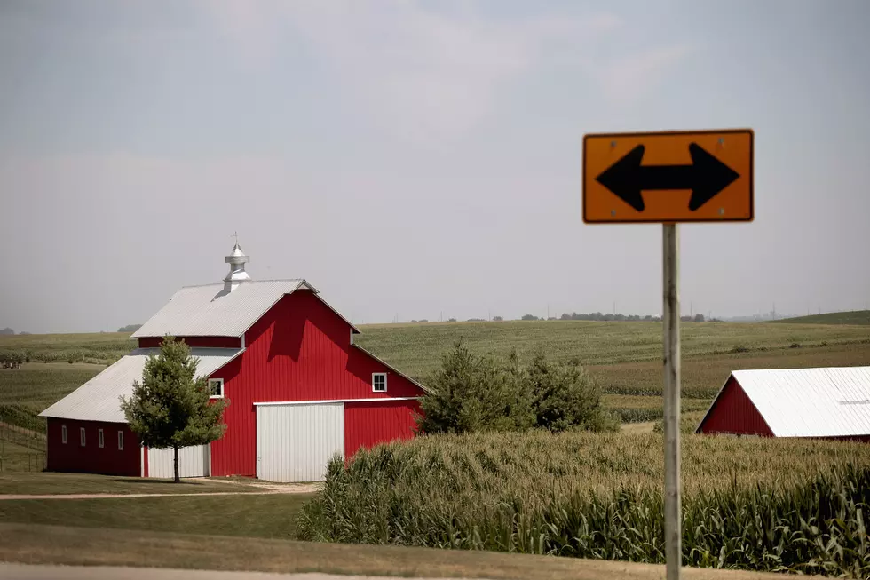 Special Field Day Thursday for Farmers