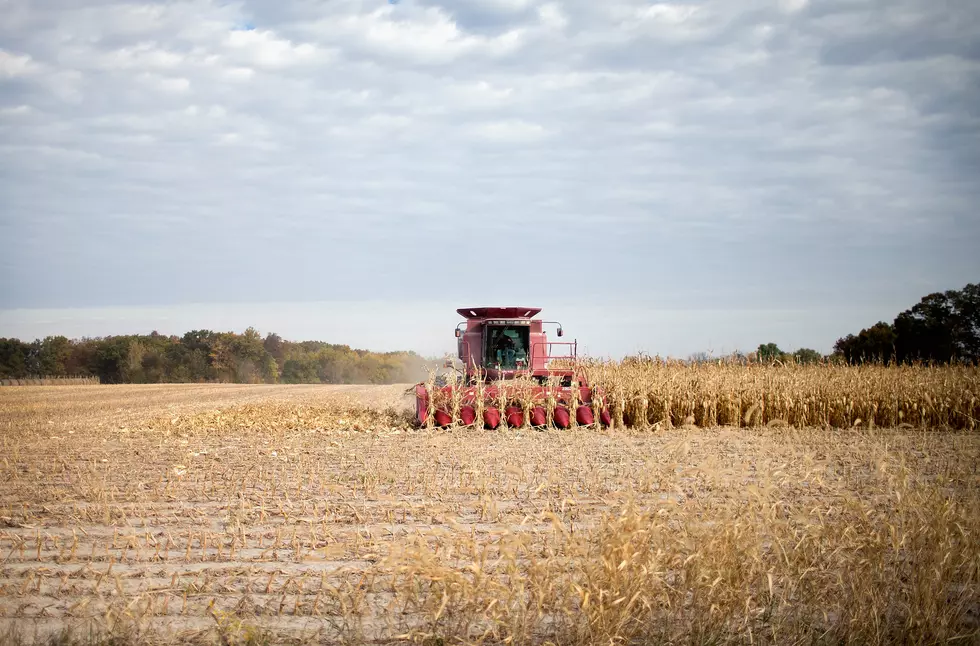 Farmers Look to Get Crops Harvested