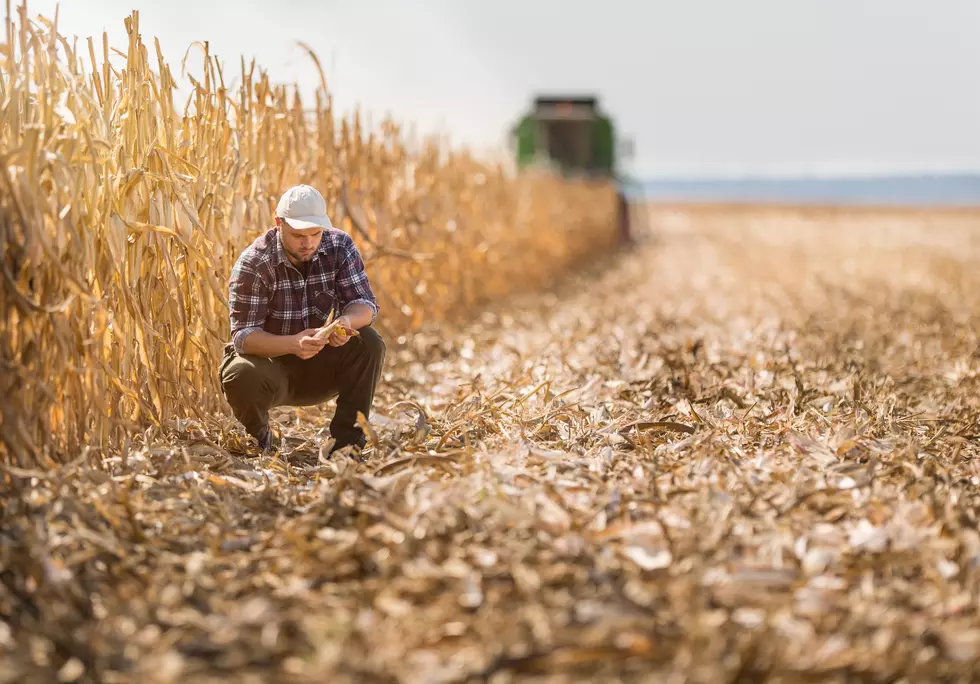 Help Needed From Farmers