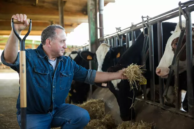 National Farmers Union Demanding Government to Open