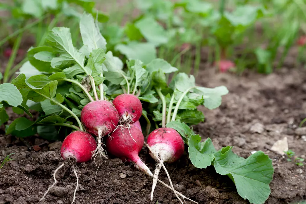 World Nude Gardening Day is Saturday