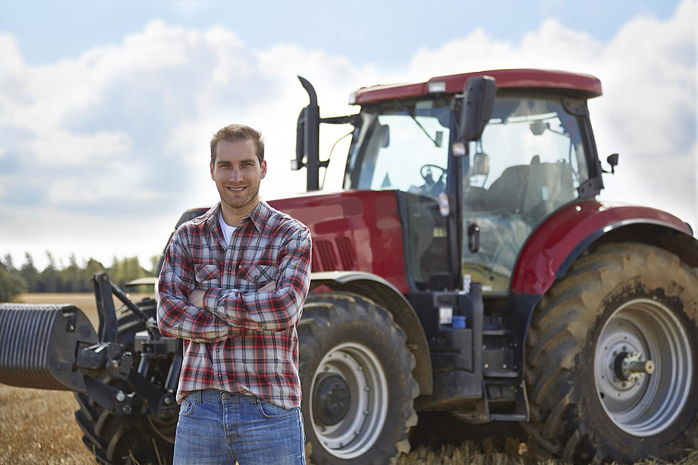 Here’s Why South Dakota Farmers Plant Acres Of Radishes And Turnips