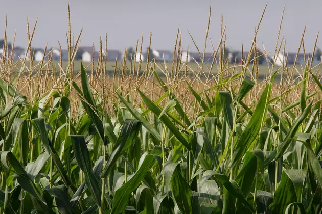 Grain Exports Provide Benefits Way Beyond Farms