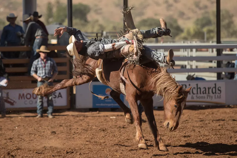 Rodeo Nationals Sees Eight from SDSU