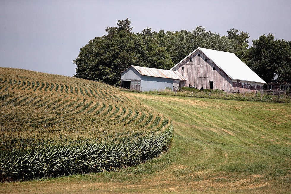 Corn Yield Contest Deadline Extended