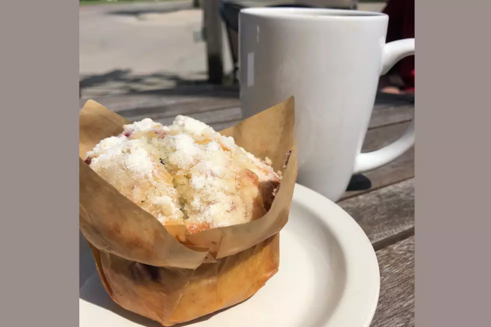 Get Ready for the South Dakota State Fair