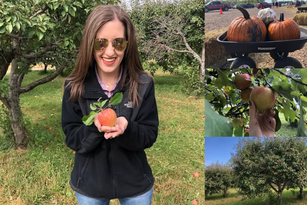 Hometown Tuesday: Country Apple Orchard 
