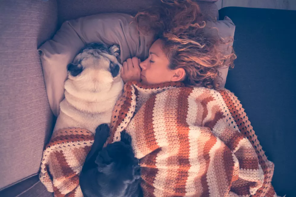 NEW STUDY: Women Sleep Better With Dogs