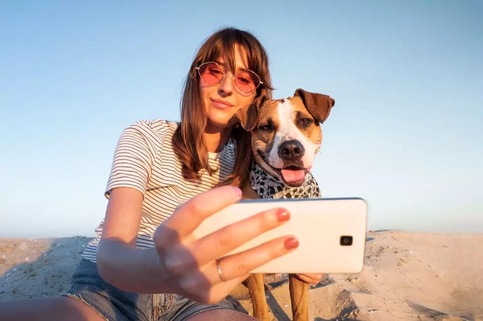 Dog Owners Have More Photos of Dog Than Spouse