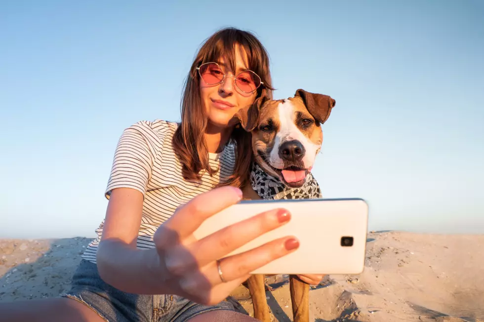 Dog Owners Have More Photos of Dog Than Spouse 