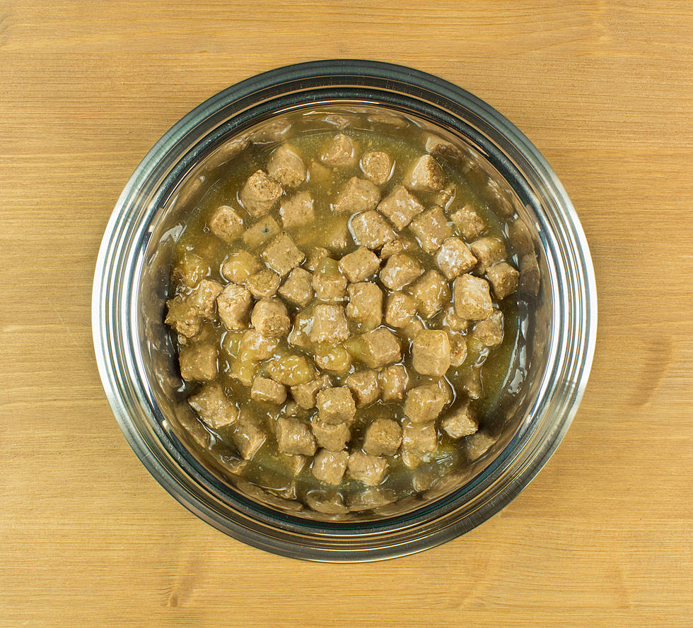 Need To Lose Weight? Try This New Dog Food Diet