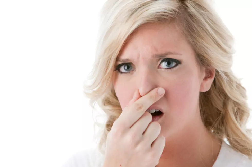 South Dakotans Statewide Discover Source Of Awful Smell