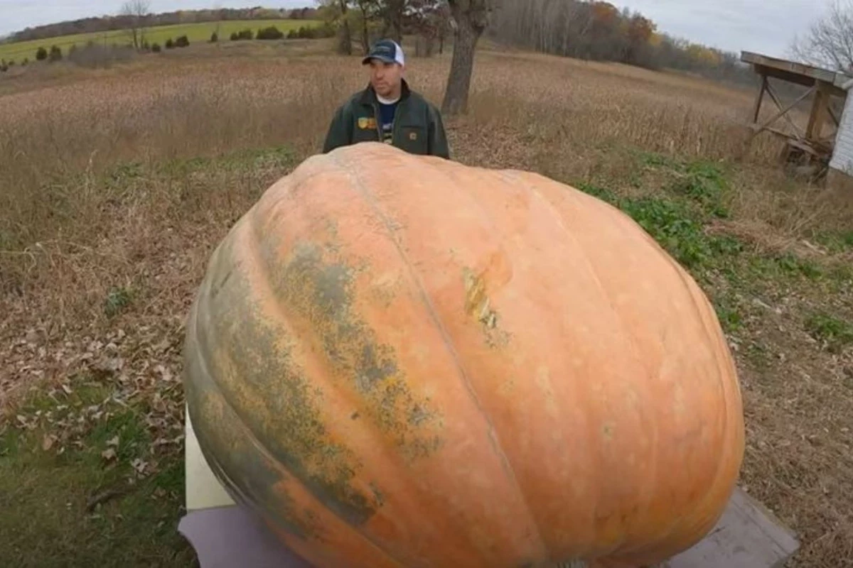 minnesota-man-grows-largest-pumpkin-in-north-america