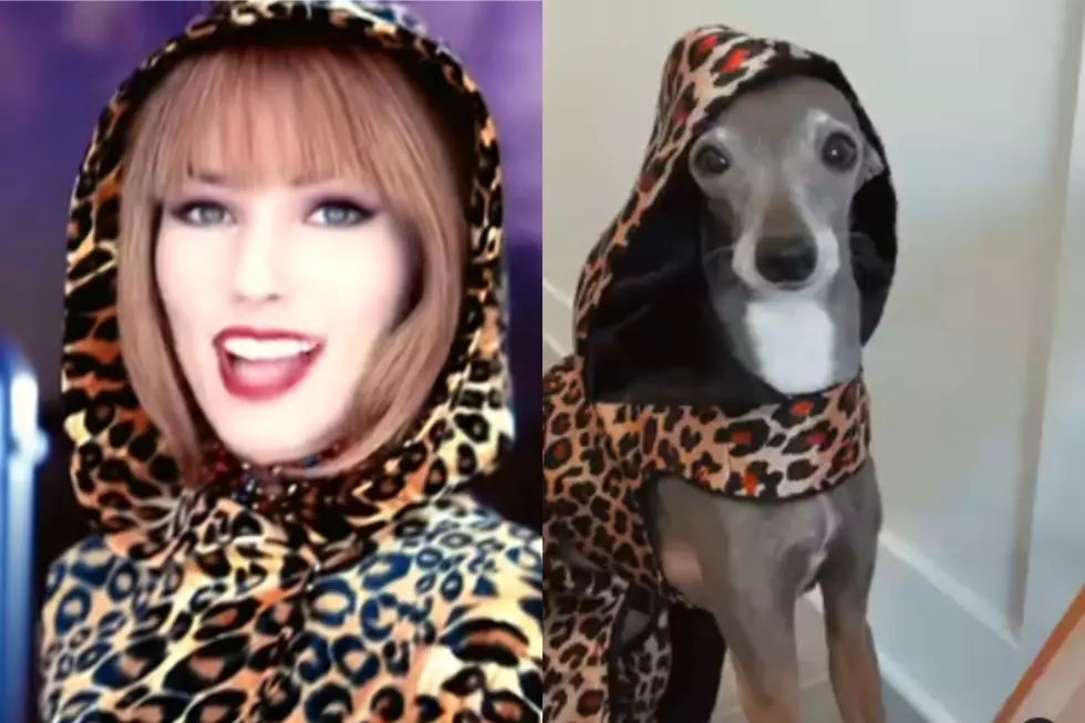 Who Wore it Better? Shania or Tika The Iggy? 