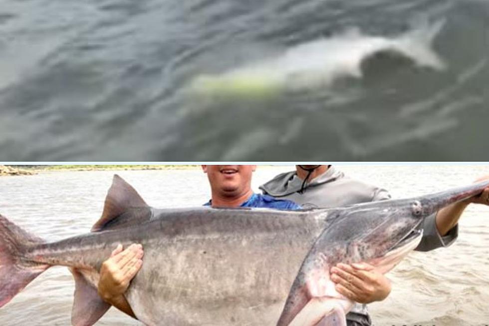 Is this the Biggest Fish Ever Caught in South Dakota?