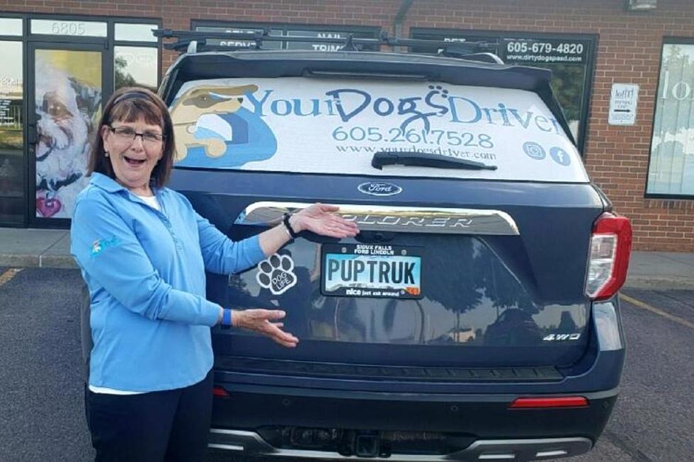 A Personal Dog Driver In Sioux Falls? Meet The Canine Chauffeur