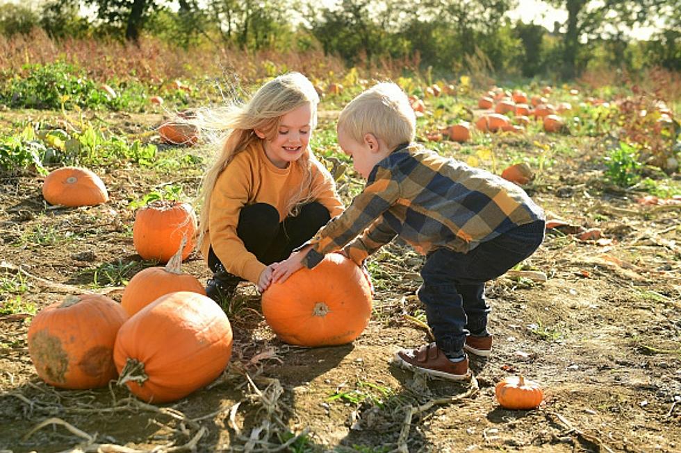 Where Are Pumpkin Patches Located In The Sioux Falls-Area?