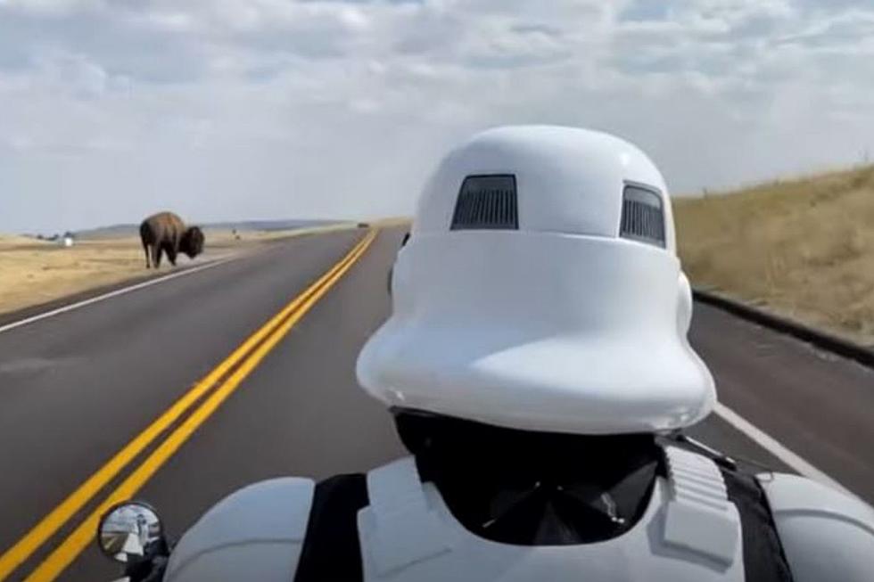 SD Harley Riding Storm Trooper Searches For Bison