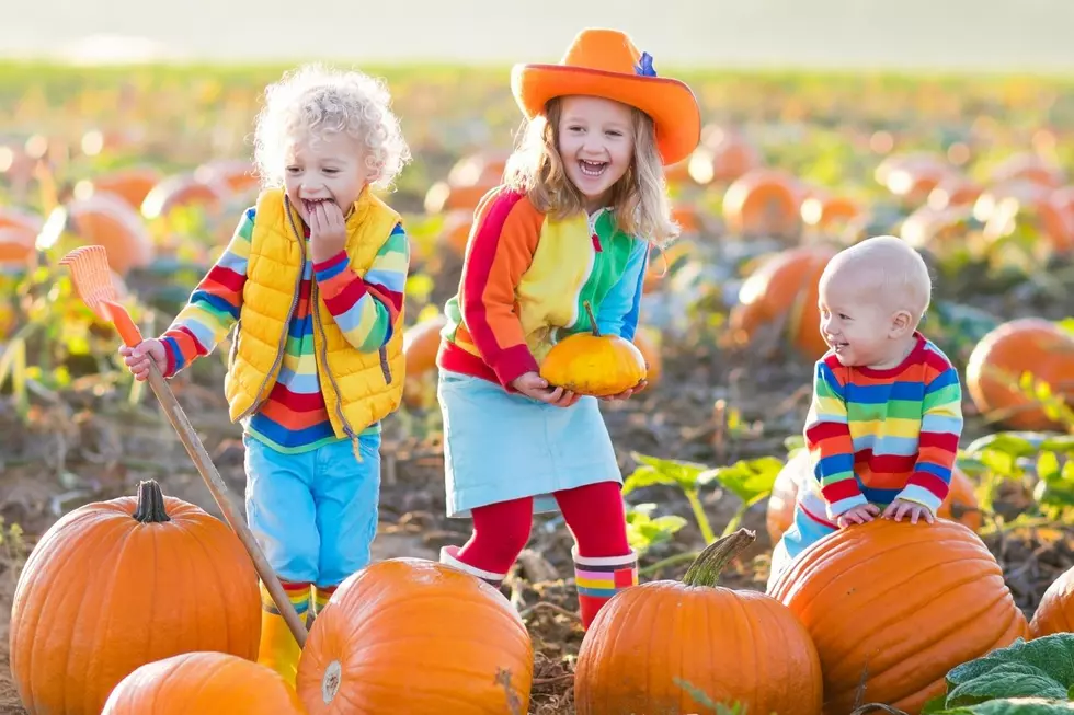 Have Some Fall Fun at These Sioux Falls-Area Pumpkin Patches