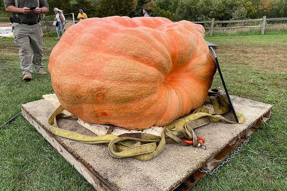 It’s The Great Pumpkin Of South Dakota, Charlie Brown!