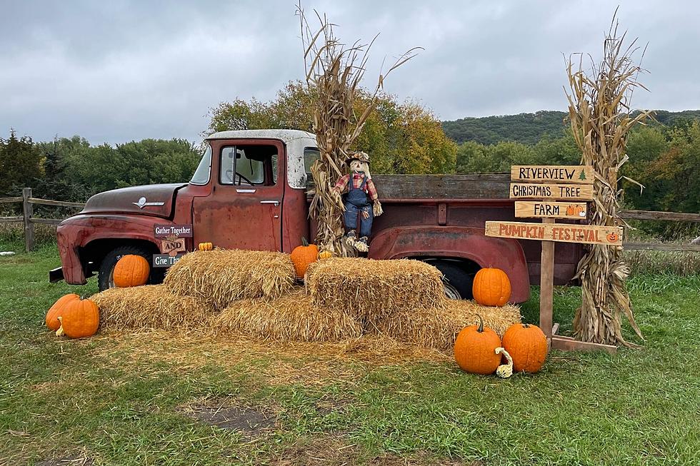 Check Out The Pumpkin Festival Fun Happening In Canton