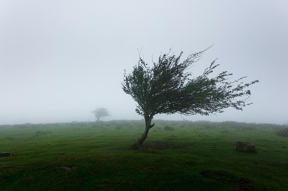 Is South Dakota the Windiest State in the Entire U.S.?