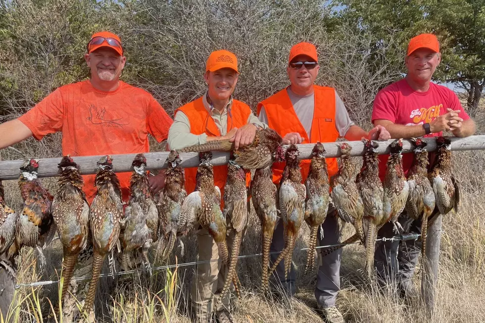 PGA Tour Golfers Go On South Dakota Pheasant Hunting Adventure 