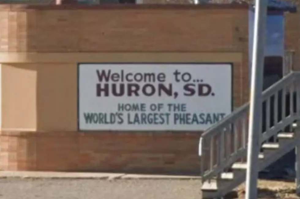 LOOK: South Dakota Is Home to World’s Largest Pheasant [PICTURES]