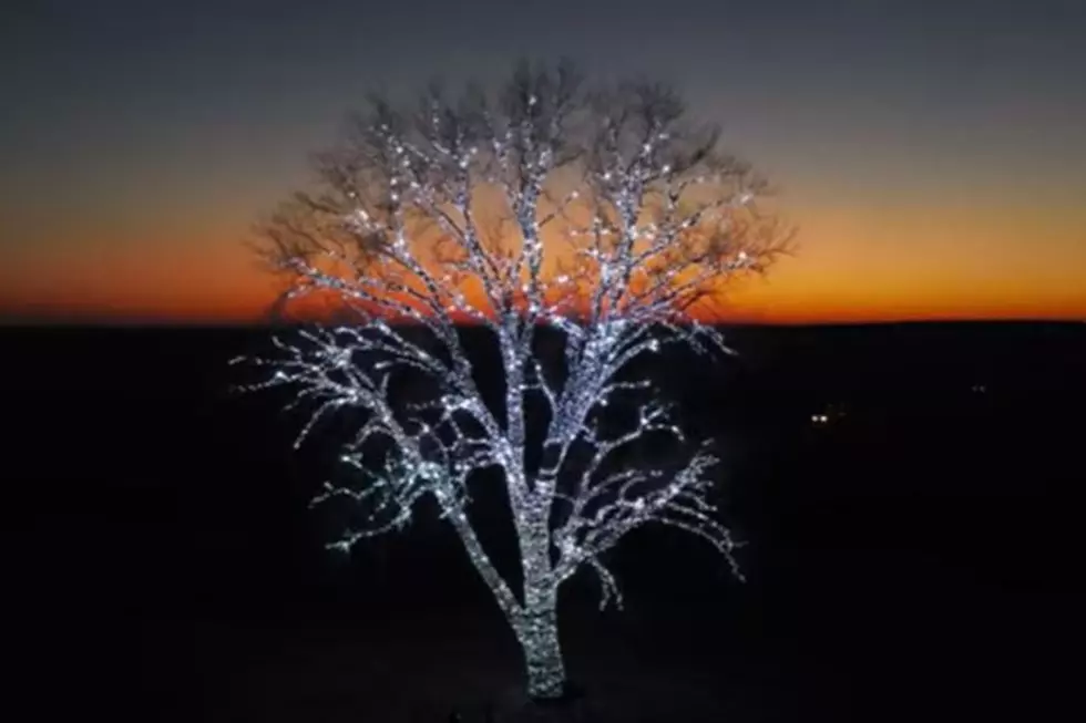 Iowa&#8217;s Favorite Christmas Tree Has Over 80,000 Lights