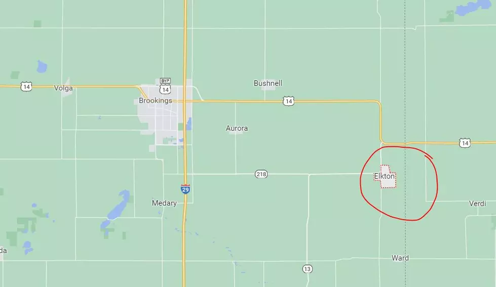 Elephant Was On The Loose In Elkton South Dakota