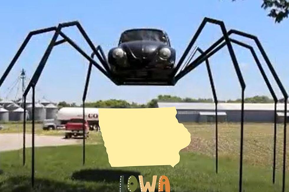 Have You Seen Iowa’s Famous Volkswagen Beetle Spider?