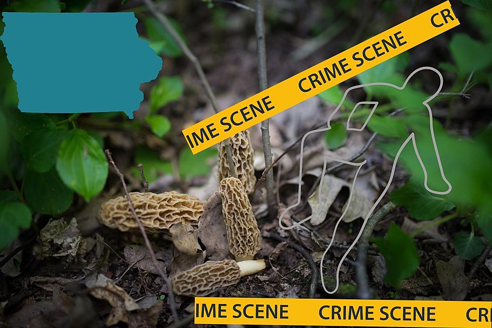 Iowa Mushroom Hunter Finds Dead Body in Woods