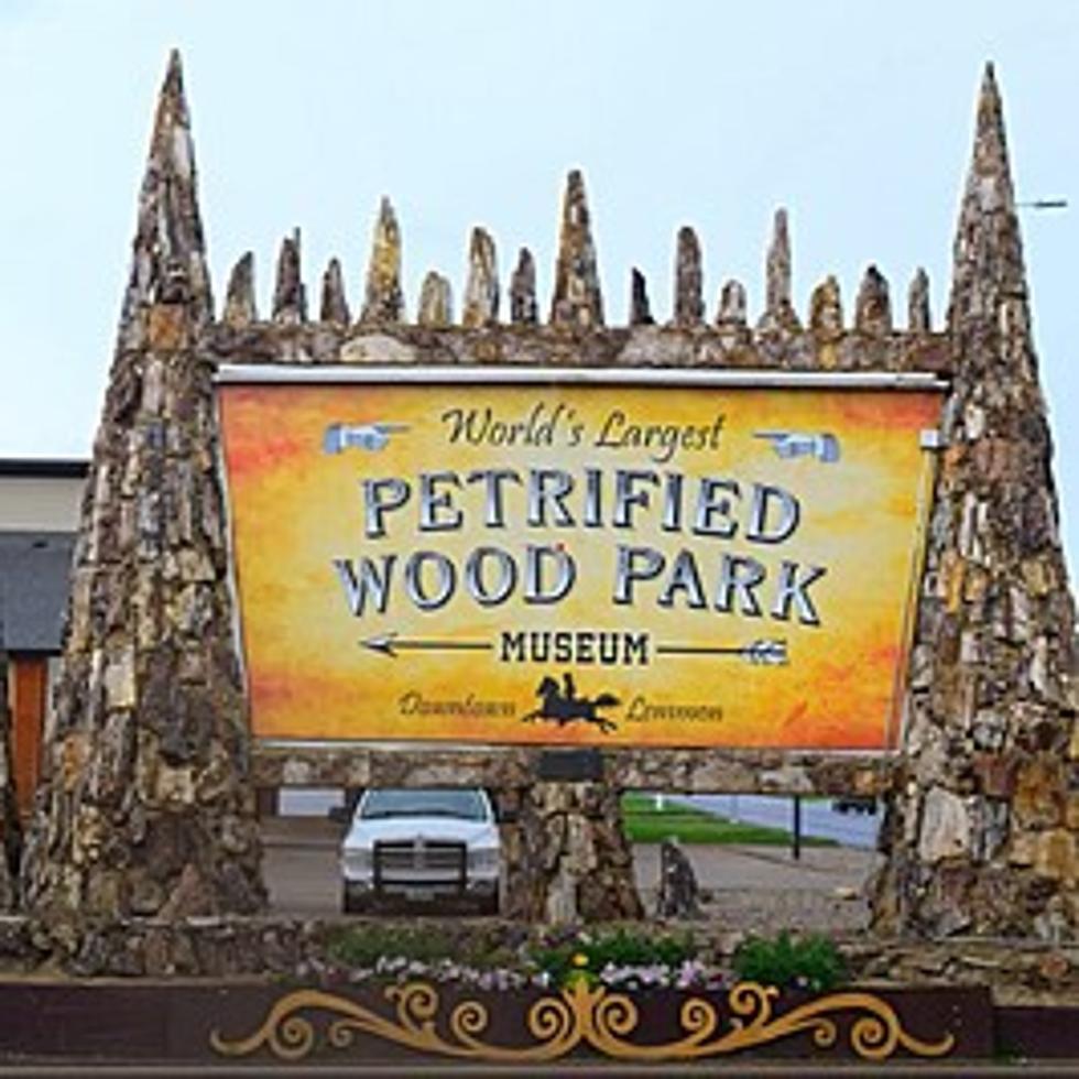 World’s Largest Petrified Wood Park Is In South Dakota!