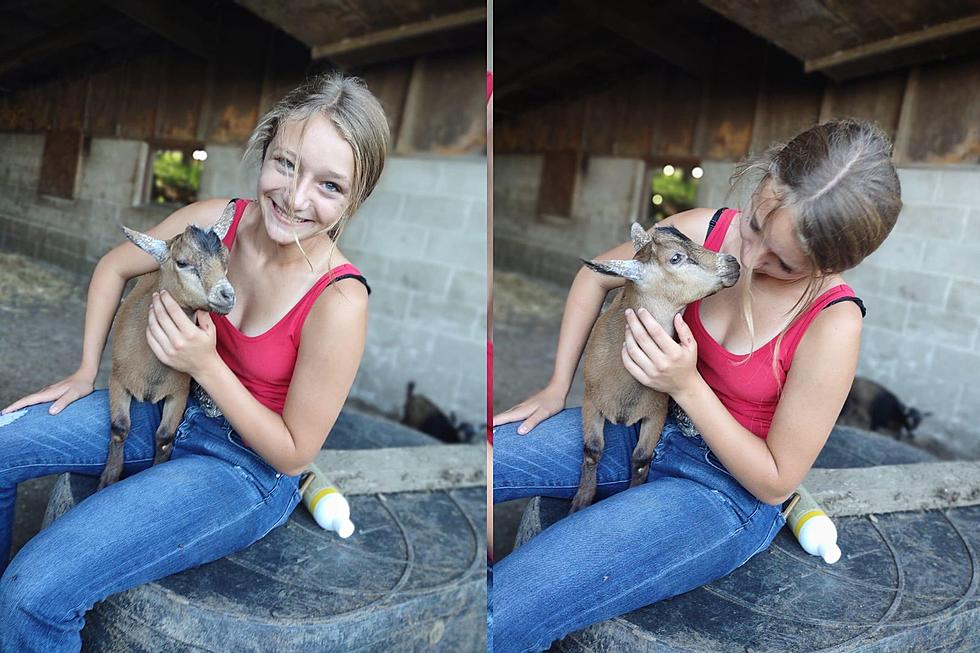 Yes, Nigerian Dwarf Goats Are Now A Part Of The Family