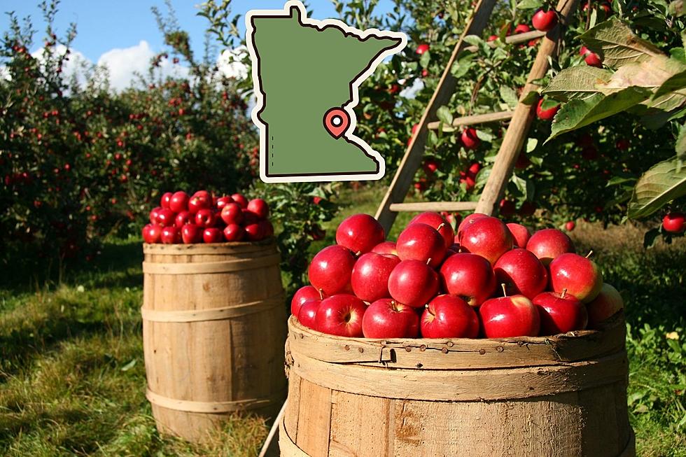 The Top Seven Apple Orchards in All of Minnesota