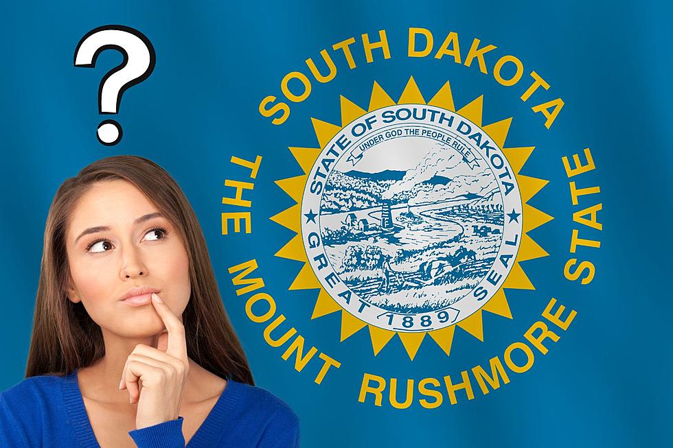 Sound Off: What Would You Change About The South Dakota Flag?