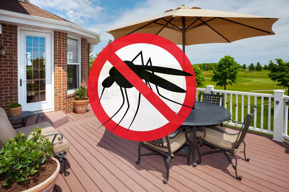 Protect Your Deck: South Dakota Mosquitoes HATE These 8 Smells