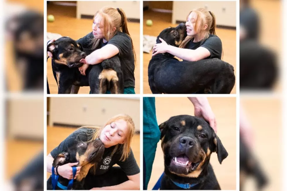 Sioux Falls Area Humane Society (via Facebook), Canva